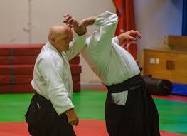 Image result for Aikido - Shobu UK