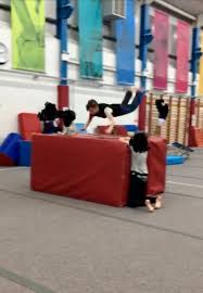 Image result for Basingstoke Gymnastics Club