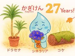 Attēlu rezultāti vaicājumam “Schistostega pennata”