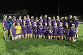 Image result for Patrick Sarsfield Gaelic Athletic Club