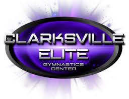 Image result for Elite Recreational Gymnastics Club