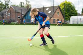 Image result for Rye Badminton Club