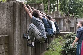 Image result for Les Voleurs Parkour Club