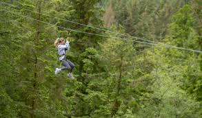 Image result for Go Ape! Whinlatter
