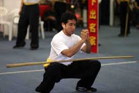 Image result for Tao So Choy Kung Fu Club, Hull