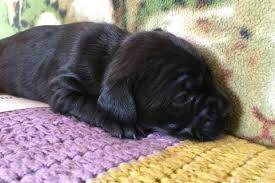 Image result for site:buyreklama.ru/*