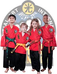 Image result for southern academy choi kwang do