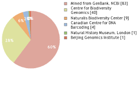 Attēlu rezultāti vaicājumam “Hypocaccus rugiceps”