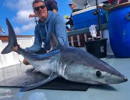 Image result for Braintree Sea Angling Club