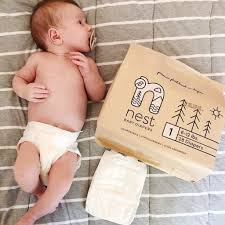 Attēlu rezultāti vaicājumam “Diaperis boleti nest”