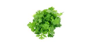 Image result for Koriander