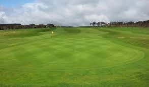 Image result for Ellan Vannin Gc