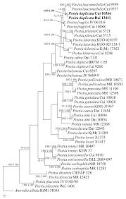 Attēlu rezultāti vaicājumam “Postia rennyi”