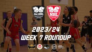 Image result for Spen Valley Vipers