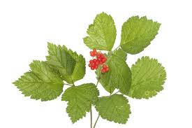 Attēlu rezultāti vaicājumam “Rubus saxatilis fruit”