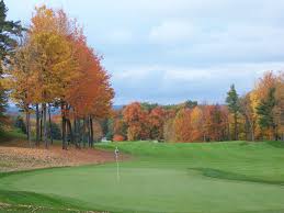 Image result for The Combe Martin Institute Club