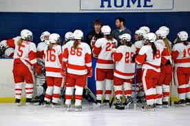 Image result for Widnes Ladies Hockey Club