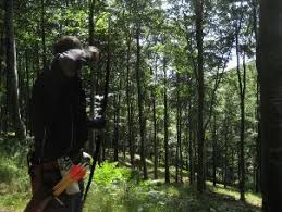 Image result for Ashcombe Valley Archers