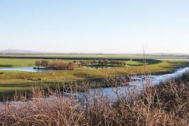 Image result for Freckleton Cc