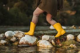 Attēlu rezultāti vaicājumam “Ranidae”