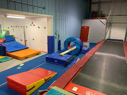 Image result for Fish trampoline and gymnastics club