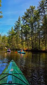 Image result for Ringwood Canoe Club