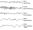Brain wave Functions Alpha Beta Theta Brainwaves
