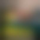 Image result for Datant Friends Dating Club