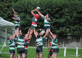 Image result for Lymm Rugby Union Football Club