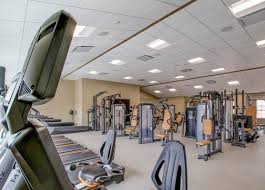 Image result for Arrow Vale Gym Club