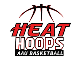 Image result for Henfield Heat Basketball Club