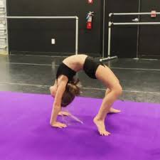 Image result for Elements Acro