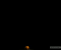 gifs speed