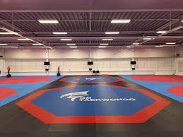 Image result for Reading Wtf Taekwondo