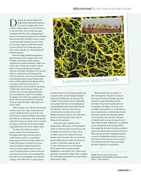 Attēlu rezultāti vaicājumam “Physarum viride stalked”