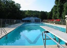 Image result for Ware Swimming Club