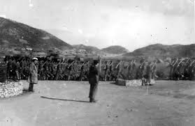 Image result for The Great War Experience, Essex