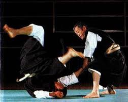 Image result for Harrow Shorinji Kempo
