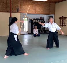 Image result for Durham City Aikikai