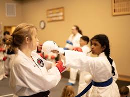 Image result for North West TaeKwonDo