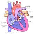 Valvular Heart Disease