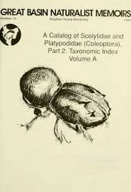 Attēlu rezultāti vaicājumam “Scolytidae”