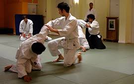 Image result for London Aikido Club