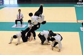 Image result for Tokei Martial Arts Club