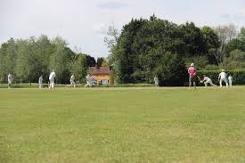 Image result for Bures and District Cricket Club