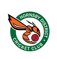 Image result for Hornsea Cricket Club