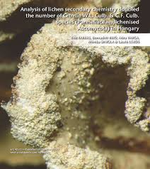 Attēlu rezultāti vaicājumam “Cetrelia sp.”