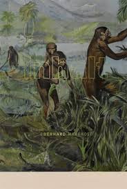 Image result for Eberhard Havekost