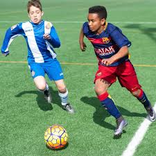 Image result for catalans universals