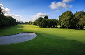 Image result for Launceston Swimming Club, Cornwall